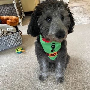 Meet your Posher, Jan